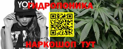 СК Севастополь