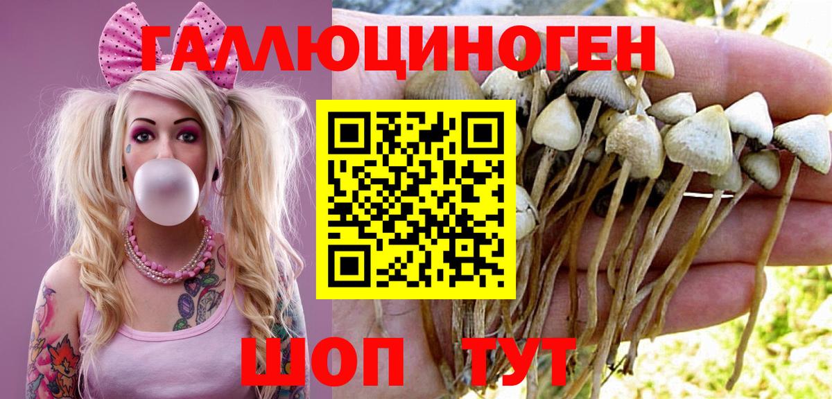 продажа наркотиков  Псилоцибиновые грибы Magic Shrooms  Вход с VPN  Псилоцибиновые грибы Psilocybine cubensis  Георгиевск 