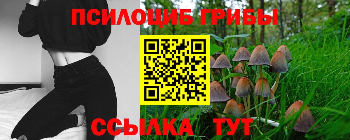 Псилоцибиновые грибы мицелий Георгиевск